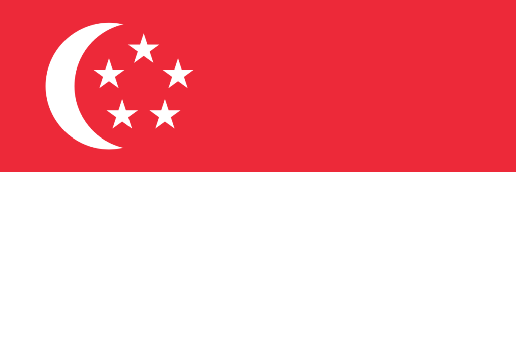 Best Singapore flag